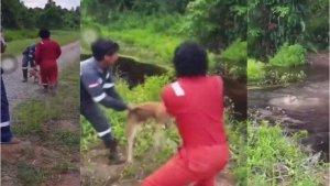 Viral-tiga-pekerja-PT-JML-di-Nunukan-lempar-anjing-ke-buaya.jpg