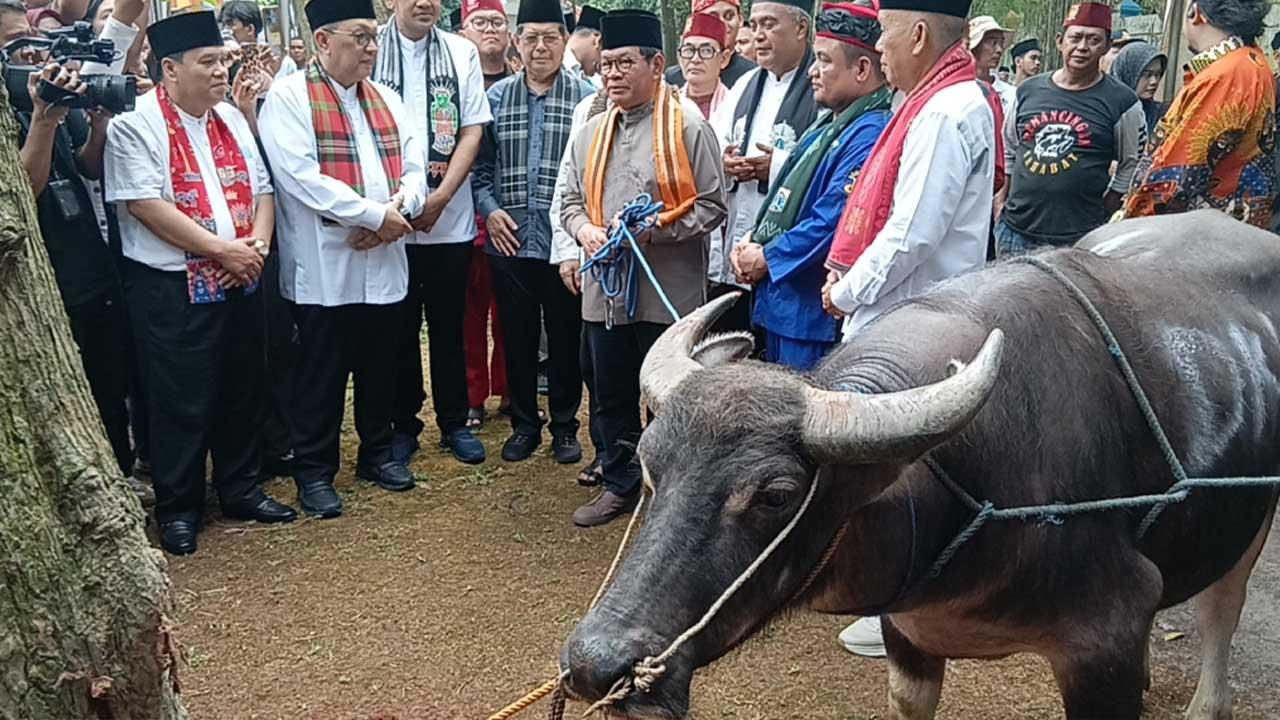 Pramono Hadiri Tradisi Andilan Kerbau di Jaktim, 9 Kerbau Disembelih untuk Warga Jelang Lebaran