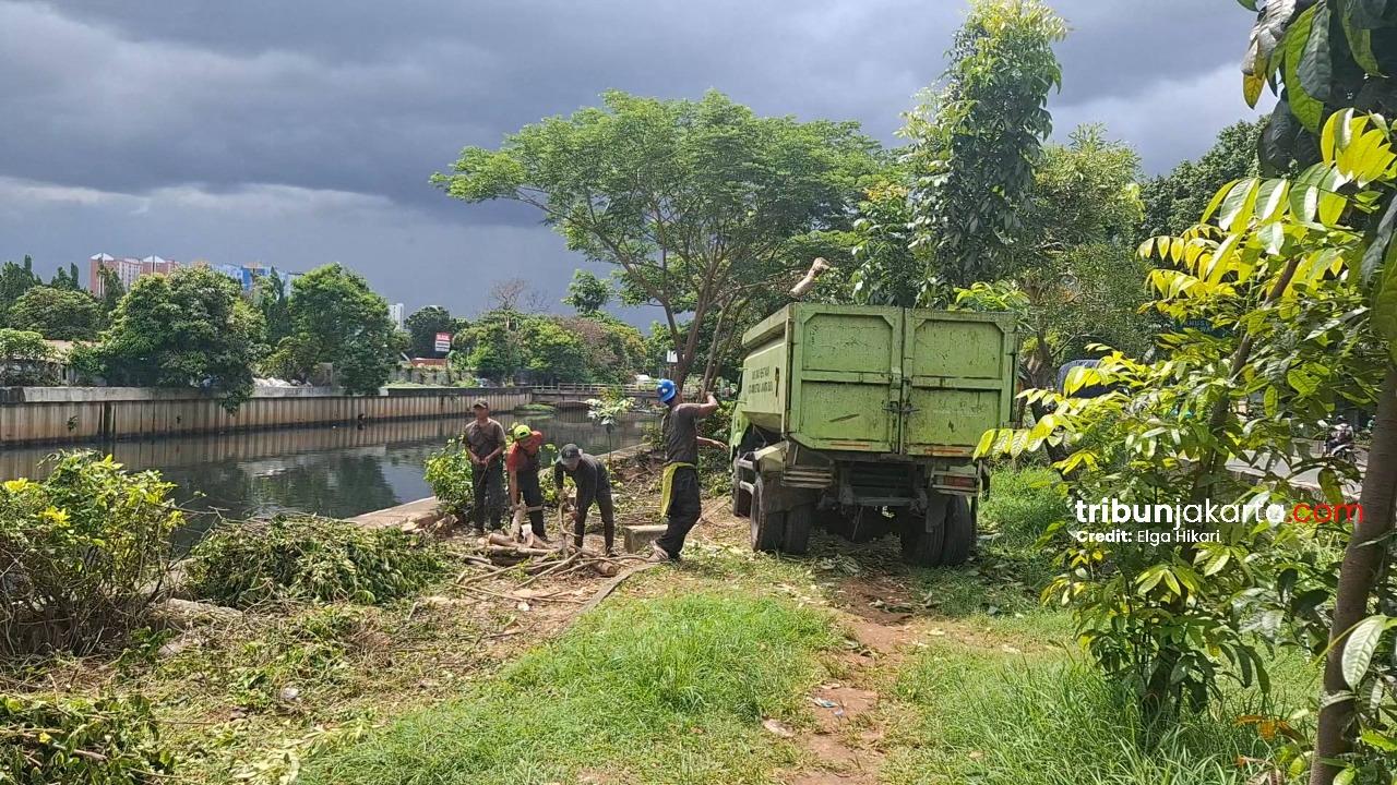 Alat-kontrasepsi-ditemukan-Taman-kawasan-Jalan.jpg