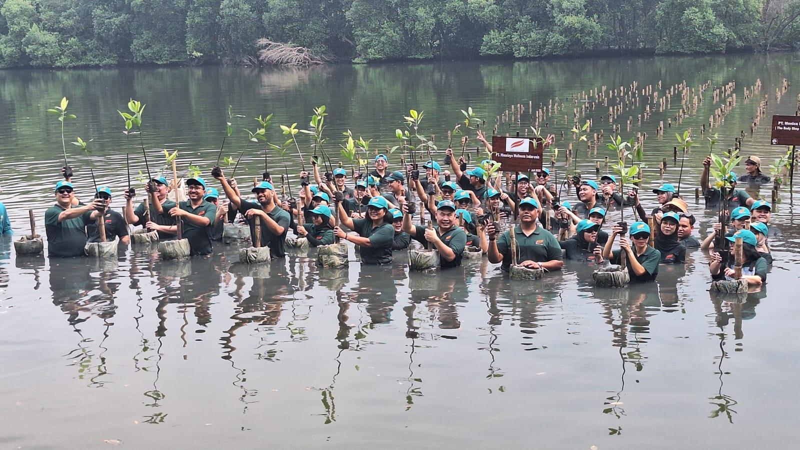 Penanaman Mangrove di TWA Angke Kapuk, Upaya Lindungi Pesisir Jakarta dari Ancaman Banjir dan Abrasi