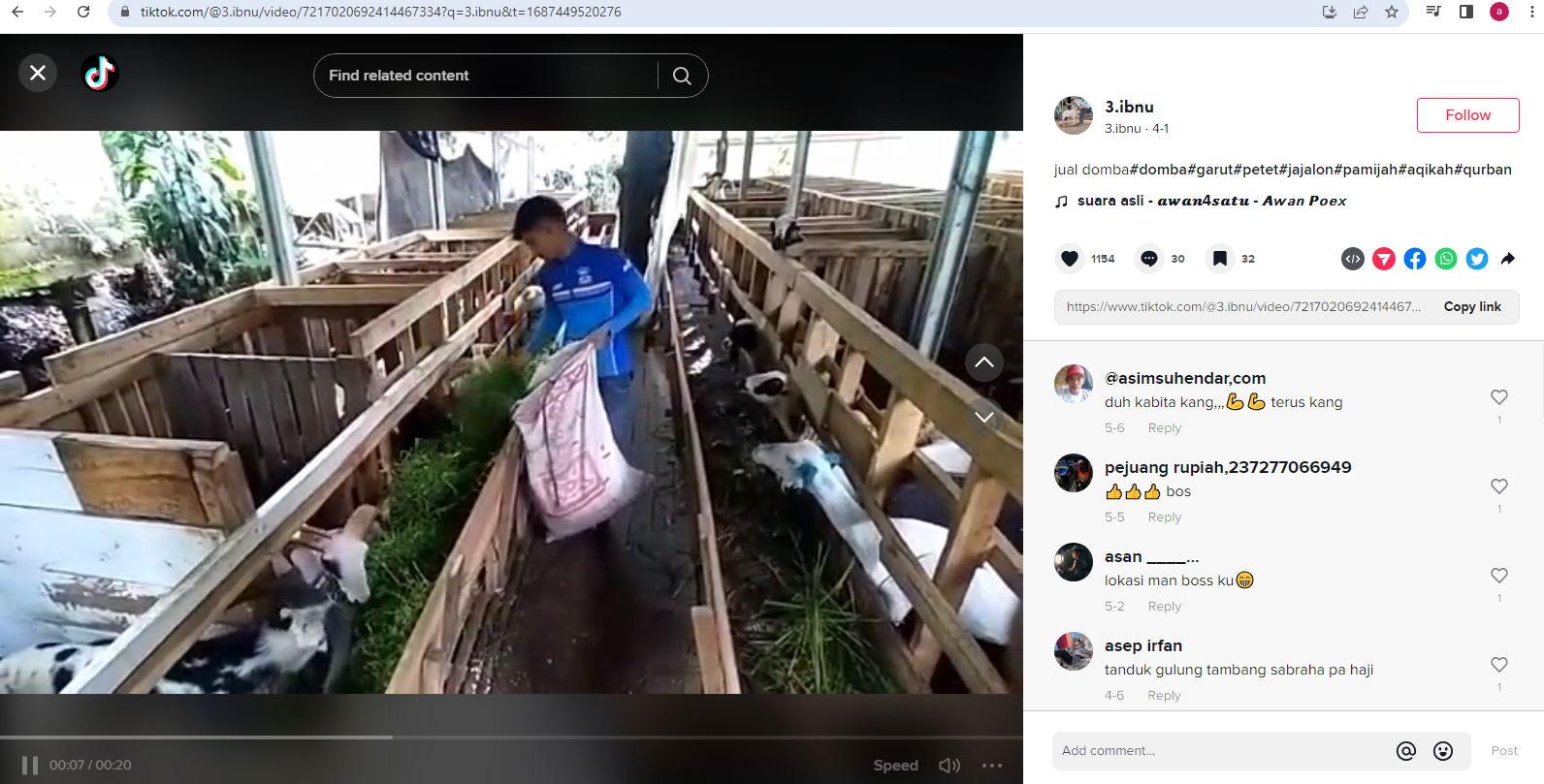 Domba-ternak-di-Batu-Kembar-Farm-Bogor-dijual-jelang-Iduladha-di-media-sosial-TikTok.jpg