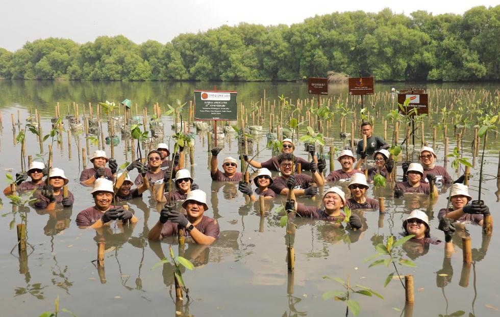 Tanam Mangrove di Pesisir Jakarta Utara, Firma Hukum Gaungkan Pentingnya Konservasi Lingkungan Hidup