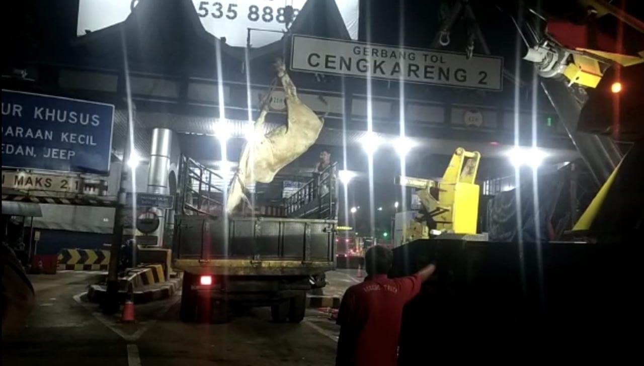 Kecelakaan Hari Ini di GT Cengkareng: Rem Blong, Truk Ternak Terbalik hingga Sapi-sapi Berhamburan