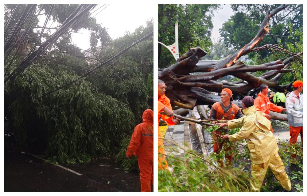 POHON-TUMBANG-Dua-mobil-yang-melintas-tertimpa-pohon-tumbang-di-Jalan-Dharmawangsa-X.jpg
