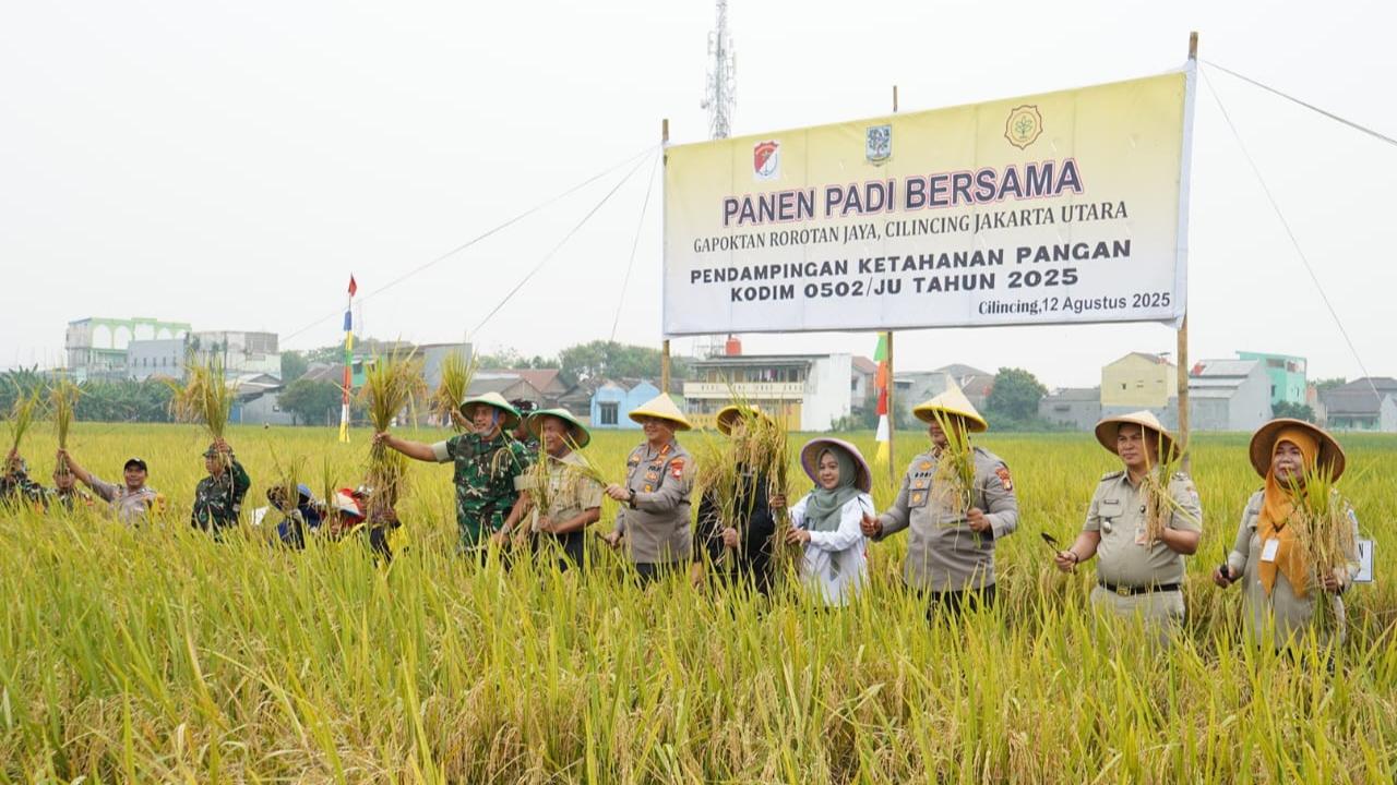 Panen Padi Bareng Gapoktan Rorotan, Dandim Jakarta Utara Harapkan Taraf Hidup Petani Meningkat