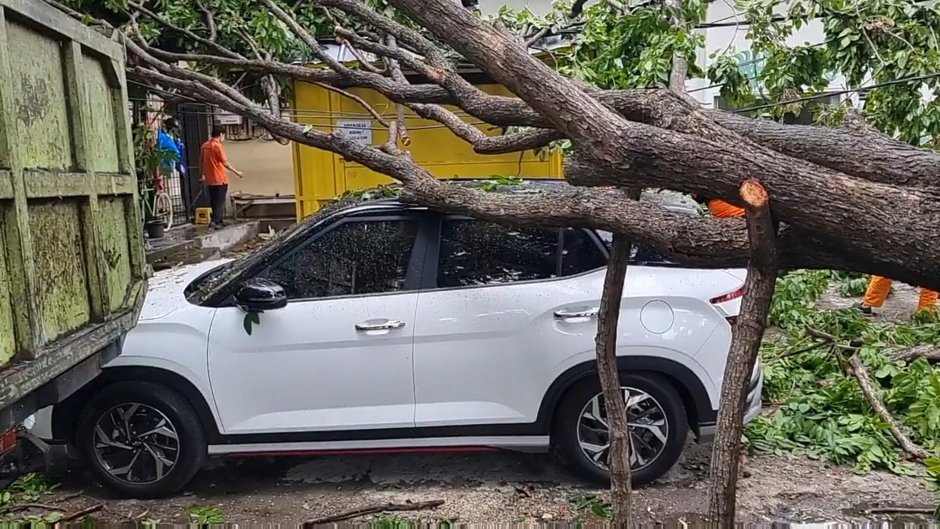 Pohon-tumbang-menimpa-mobil-di-Jalan-Danau-Sunter-Barat-Jakarta-Utara.jpg