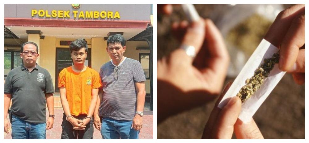 Rahmat-yang-tertangkap-Polsek-Tambora-setelah-membeli-ganja-dan-ilustrasi-ganja.jpg