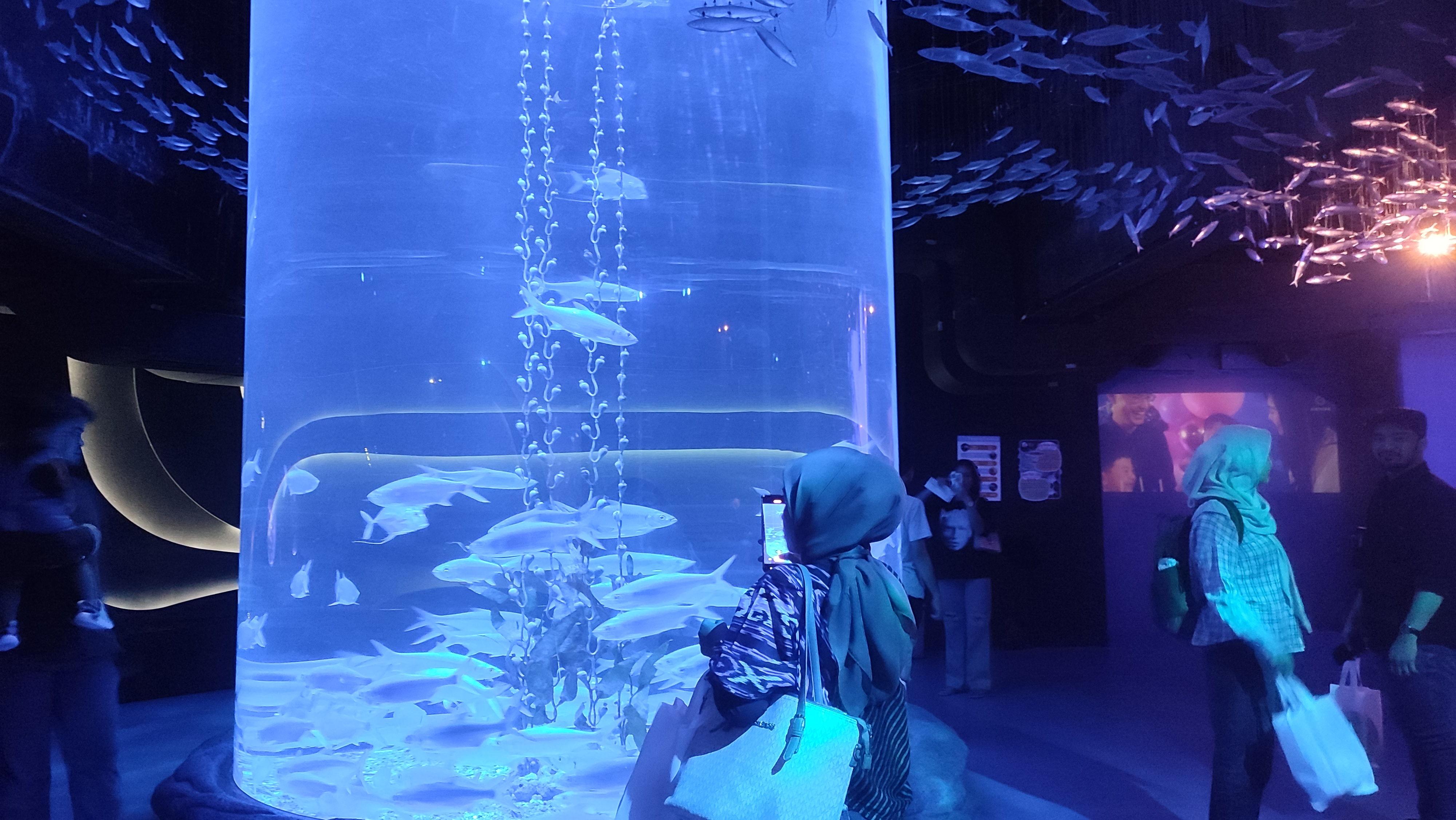 Sejumlah-pengunjung-menikmati-suasana-tempat-wisata-Jakarta-Aquarium-Safari.jpg