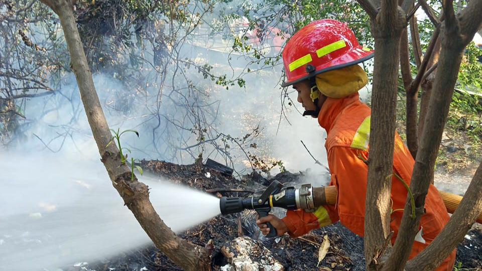 Warga Bakar Sampah Sembarangan Lalu Ditinggal, Nyaris Bikin Kebakaran Hebat di Kamal Muara - Tribunjakarta.com