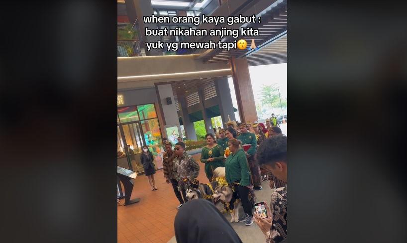 Viral Pesta Pernikahan Anjing Jojo Luna di Mal PIK, Habiskan Budget Hingga Rp200 Juta