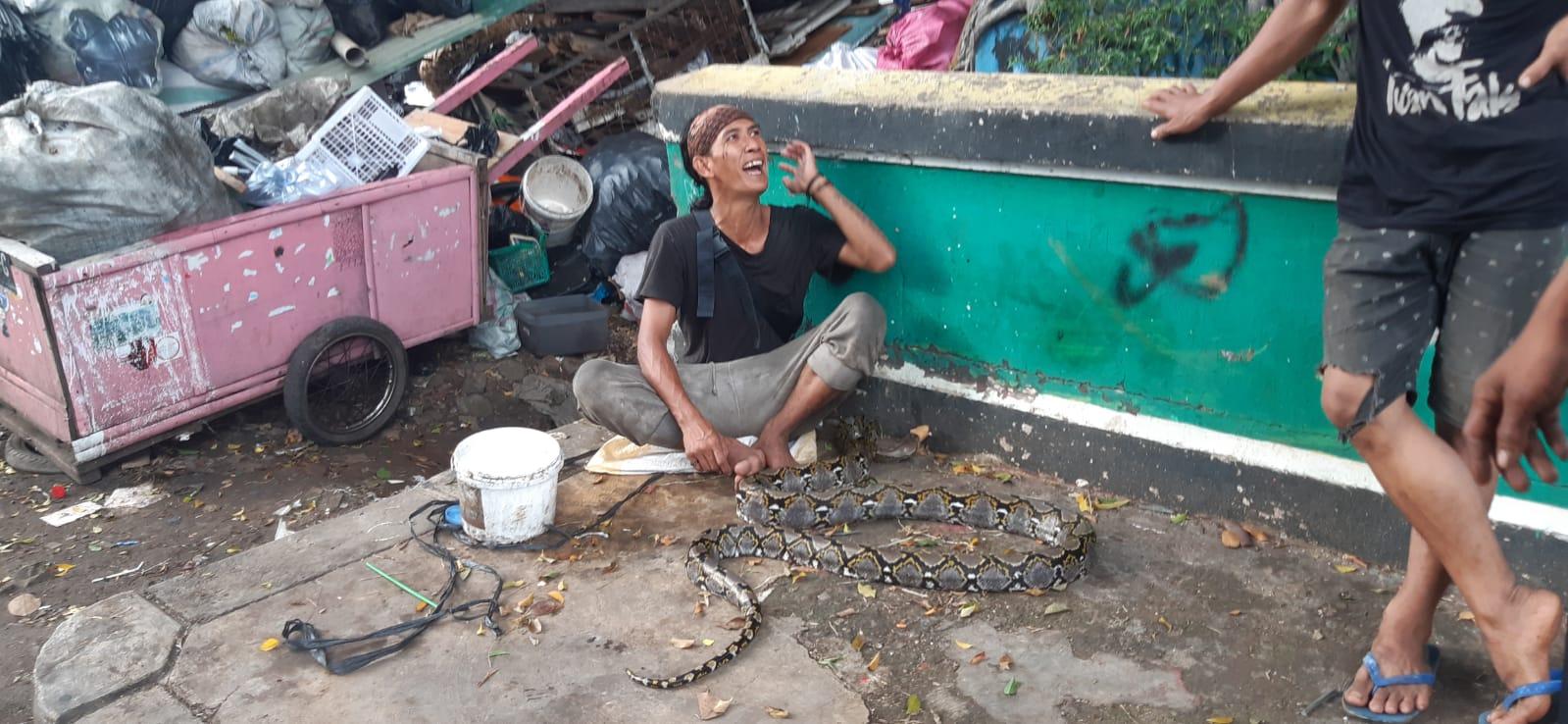 Jangan Lakukan Ini Saat Digigit Ular, Berikut Faskes Yang Punya Stok Serum Anti Bisa Ular di Jakarta