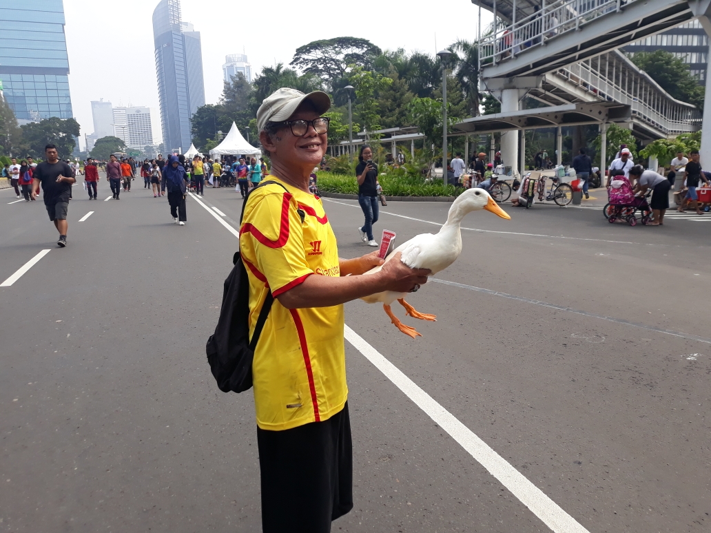 Abdul Ajak Bebek Bernama Riri Ikut CFD Sudirman, Si Hewan Tak Pernah Nyasar Pulang Sendiri ke Rumah