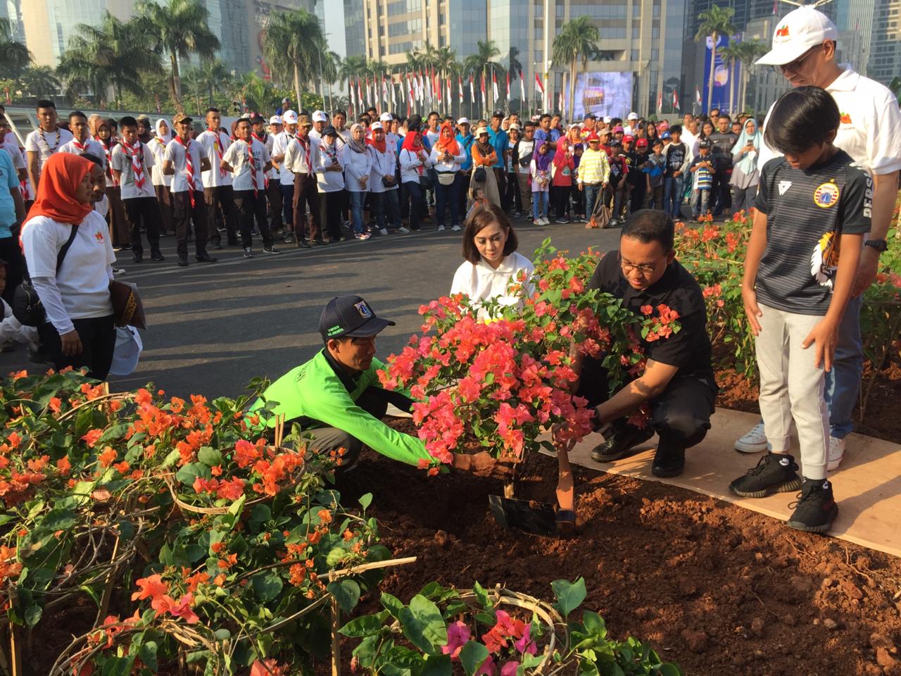 Kurangi Polusi Udara, Tanaman Bougenville akan Percantik Jalan Yos Sudarso dan RE Martadinata