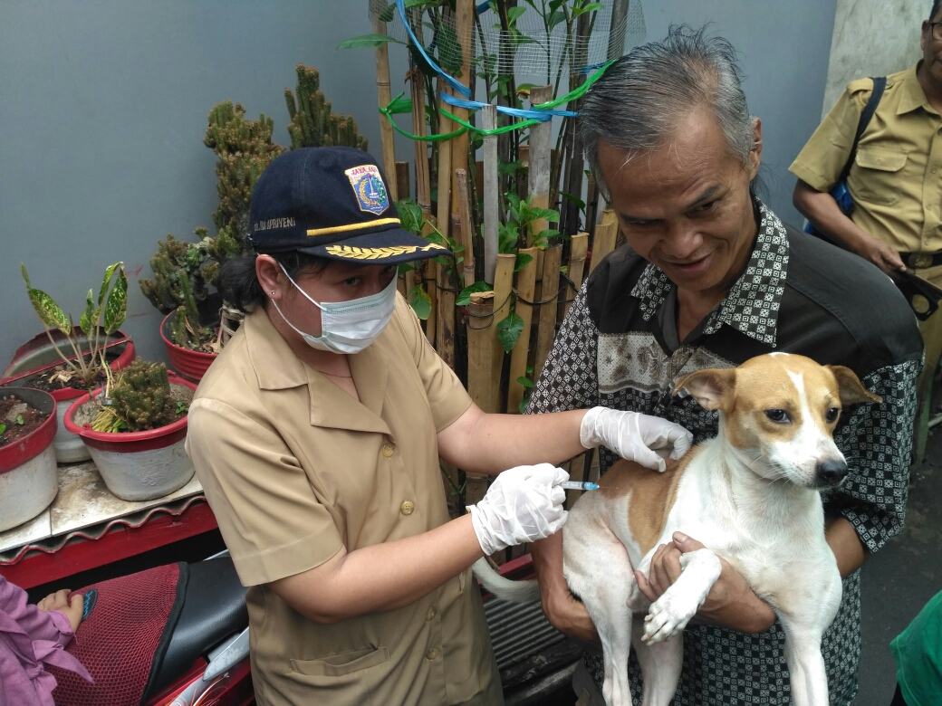 anjing-divaksinasi-rabies.jpg