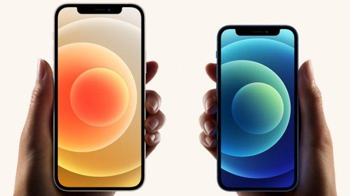 Apple Luncurkan iPhone 12, Simak Harga dan Spesifikasinya