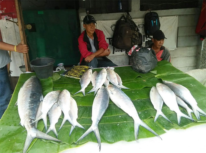 Tradisi Tahunan Jual Bandeng Jelang Imlek di Rawa Belong Malah Di Buru Orang Betawi