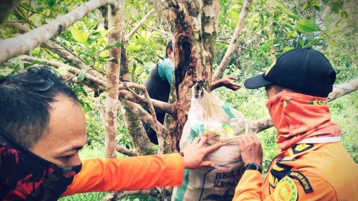 basarnas-banten-masih-mencari-tinggal-80-pria-lanjut-usia-yang-hilang-di-gunung-pilar.jpg