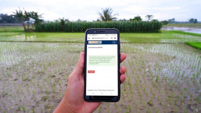 cara-mudah-cek-penerima-bantuan-langsung-tunai-blt-umkm.jpg