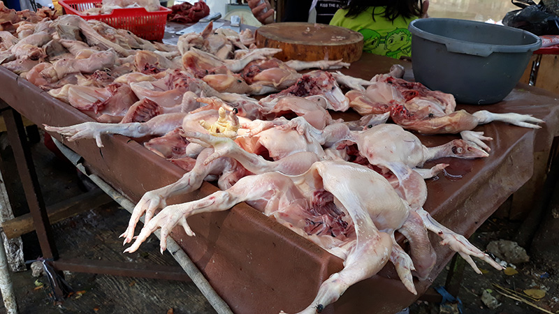 daging-ayam-potong_20180529_122637.jpg