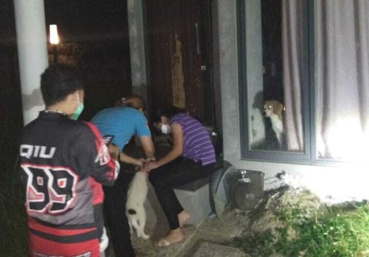 empat-anjing-ditemukan-pengelola-yayasan-sarana-metta-indonesia-di-serpong-utara.jpg
