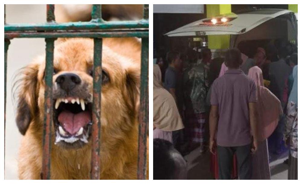 ilustrasi-anjing-dan-korban-gigitan-anjing-gila-dibawa-ke-rumah-sakit.jpg