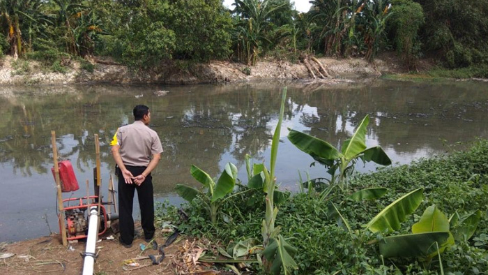 lokasi-kemunculan-buaya-berukuran-2-meter-di-kali-cbl-bekasi.jpg