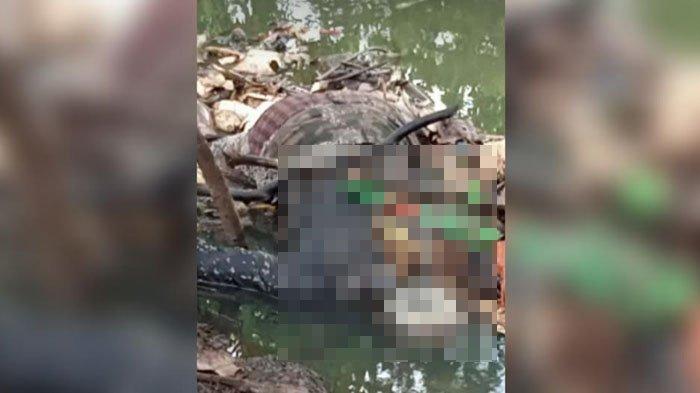 mayat-mengambang-di-sungai-yang-bercampur-sampah-di-cibinong.jpg