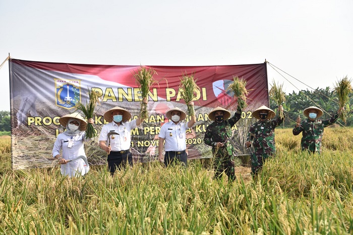 panen-padi-di-lanud-halim-perdanakusuma-rabu-11112020.jpg