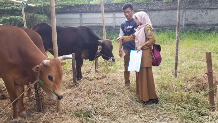pemeriksaan-hewan-kurban-oleh-dinas-ketahanan-pangan-kota-tangerang.jpg