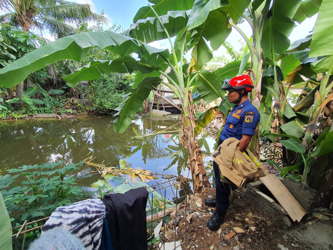 personel-sudin-pkp-jakarta-timur-saat-menyisir-empang-tempat-biawak.jpg