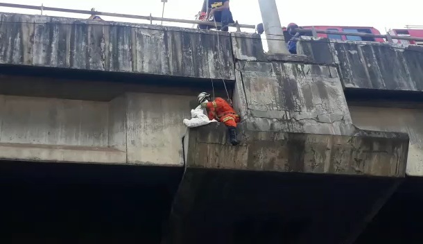 Evakuasi Kucing Terjebak di Tiang Tol, Personel Damkar Merayap di Ketinggian 20 Meter