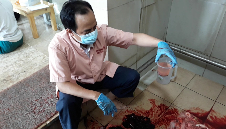 petugas-pengawas-hewan-kurban-satpel-kpkp-kecamatan-pasar-rebo.jpg