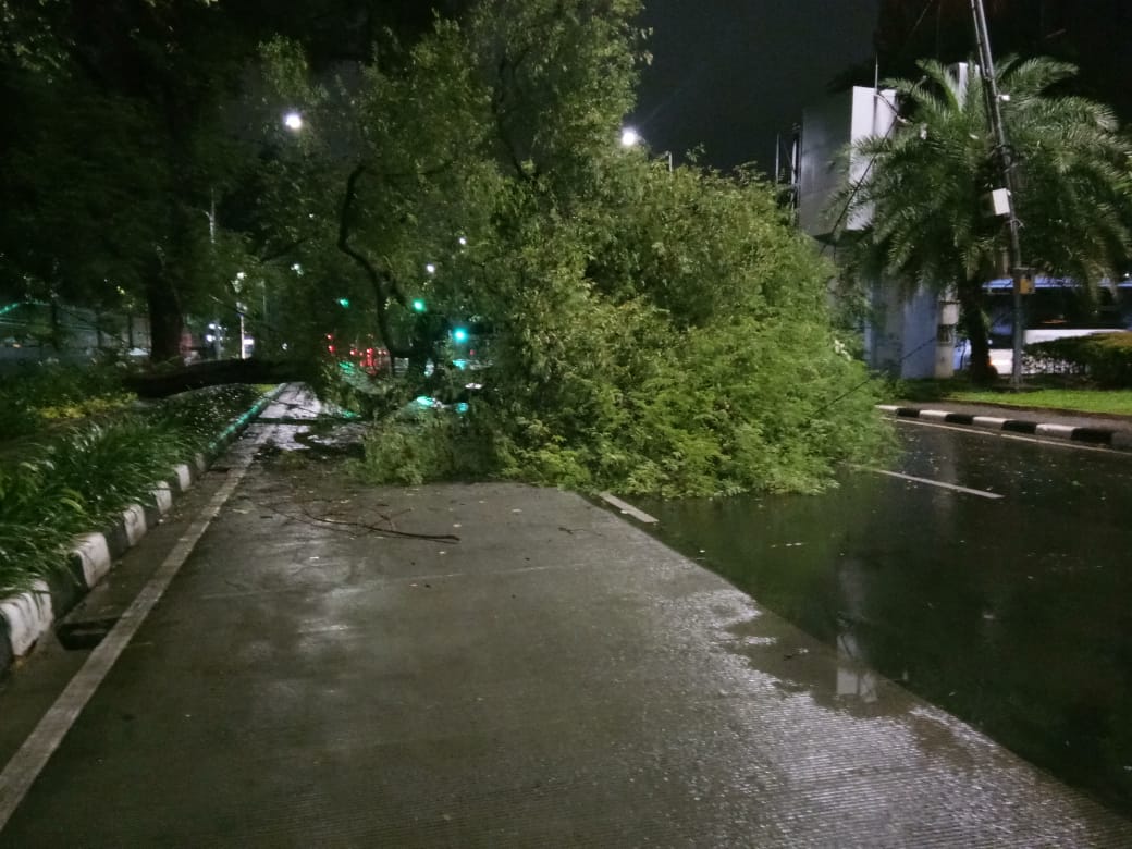 pohon-tumbang-yang-menutupi-jalan-katedral.jpg