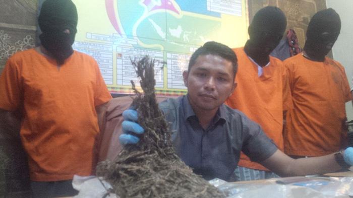 polisi-ganja_20180125_153614.jpg