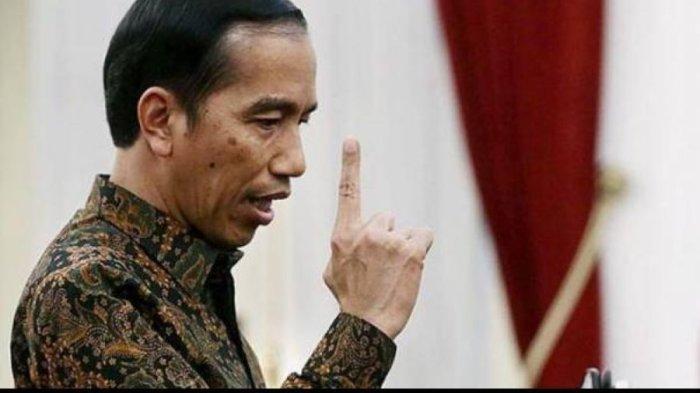 presiden-joko-widodo-jokowi-w.jpg