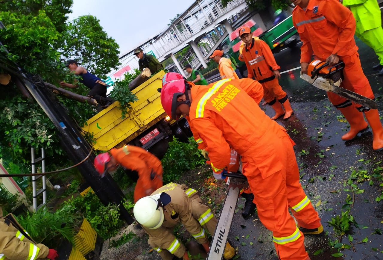 proses-evakuasi-pohon-tumbang-di-jalan-otista-raya-jatinegara-jakarta-timur.jpg
