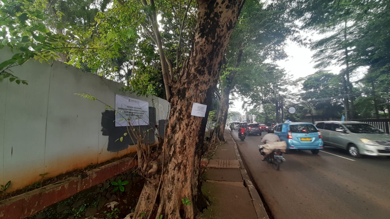 puluhan-pohon-di-jalan-rs-fatmawati-raya-cilandak-akan-ditebang.jpg