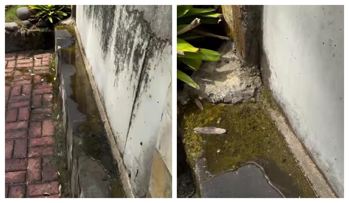 Viral Tanggul Pantai Mutiara Rembes, Ancaman Jakarta Tenggelam Makin Nyata!