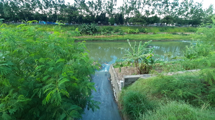 Cari Bocah Main Perosotan di Pinggir KBT, Lurah Pondok Kopi Kordinasi dengan Pengurus RT RW