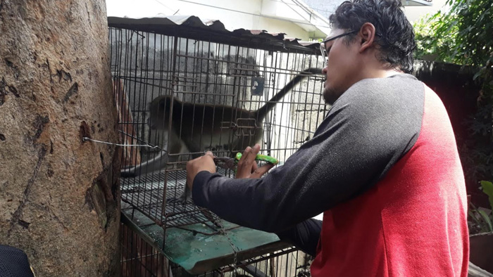 suasana-penangana-kera-bernama-bobi-di-kompleks-al-pasar-minggu-pada-senin-2532019.jpg