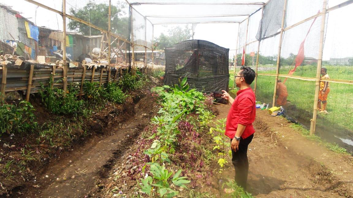 taman-kupu-kupu.jpg