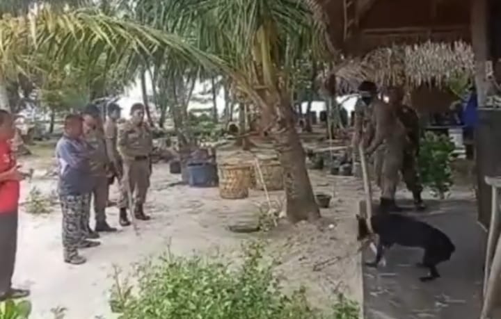 Viral Petugas Satpol PP Tangkap Anjing Berujung Tewas, Pecinta Hewan Kecam Hingga Somasi Pelaku
