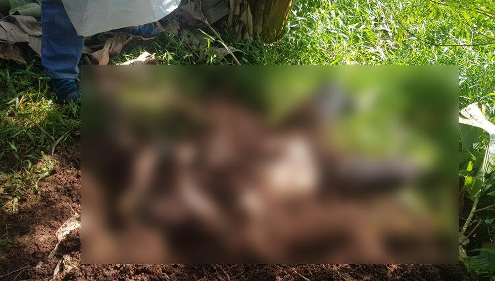 Identitas Ibu Hamil yang Dibuang di Tol Jagorawi Akhirnya Terungkap, Polisi Tangkap Pelaku Pembunuh