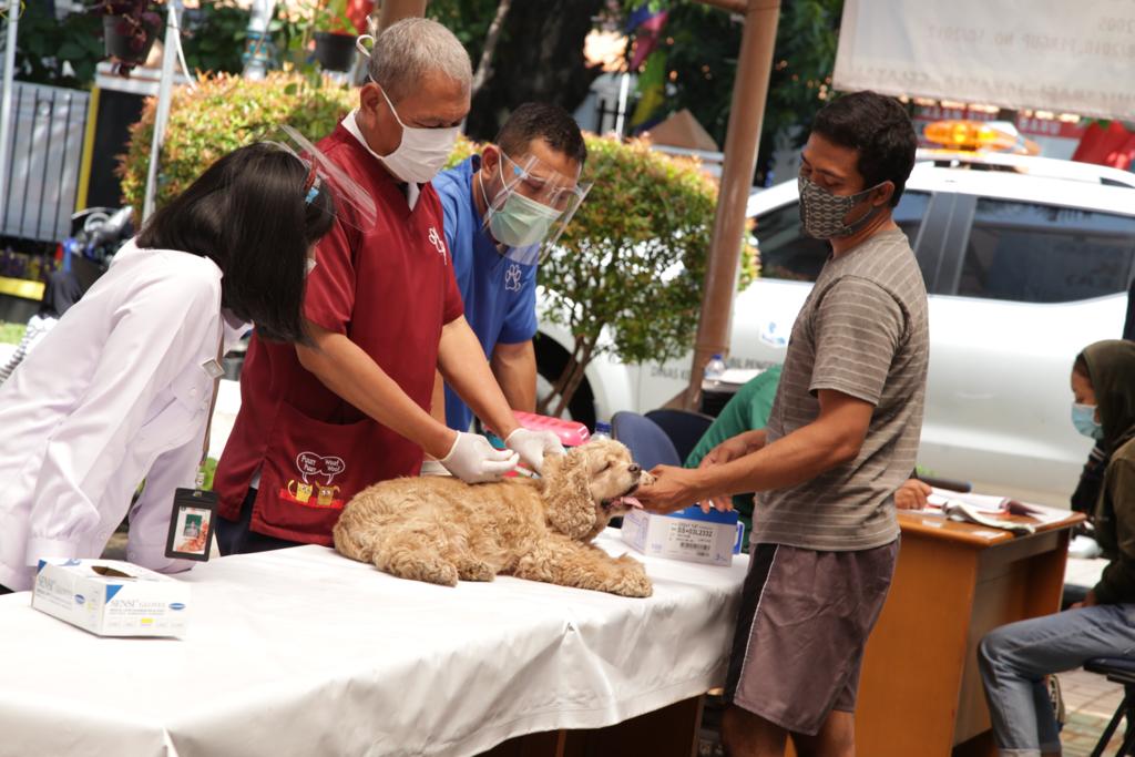 vaksinasi-hewan-penular-rabies-di-tebet.jpg