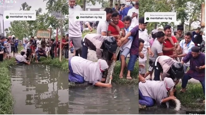 Viral Video Emak-emak Pemberani Bantu Bapak-bapak Tangkap Ular, Aksinya Langsung Jadi Sorotan Warga
