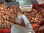 HARGA-TELUR-NAIK-Harga-telur-ayam-negeri-di-Pasar-Proyek-Sukapura-Cilincing-Jak.jpg