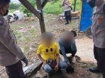 ID-43-bersama-N-29-tertangkap-polisi-di-sebuah-kebon-kosong-Kampung-Boncos.jpg