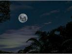 Ilustrasi-bulan-purnama-moon.jpg