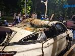 MOBIL-TERTIMPA-POHON-TUMBANG-DI-DHARMAWANGSA.jpg