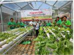 Peresmian-Kebun-Hidroponik-di-RPTRA-bersama-BANK-DKI.jpg